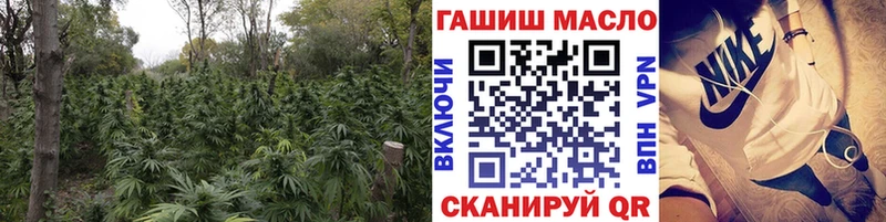 ТГК концентрат  купить закладку  Ртищево 