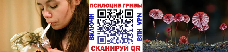 Псилоцибиновые грибы Magic Shrooms  купить наркотики цена  кракен вход  Ртищево 